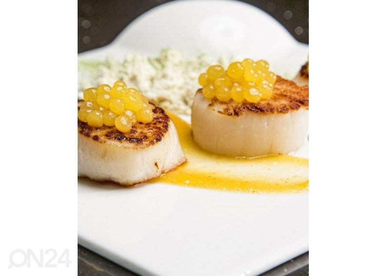 Молекулярный дизайнер еды Rommelsbacher FD500 Perlino увеличить