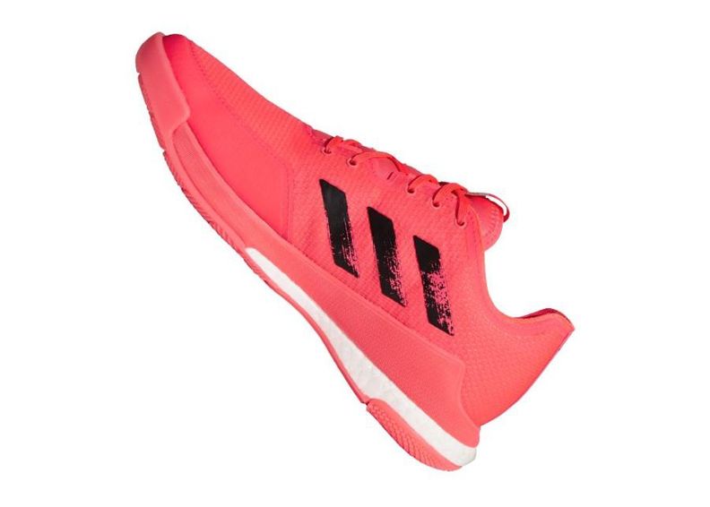 Мужская волейбольная обувь Adidas Crazyflight Tokyo M FX1764 увеличить