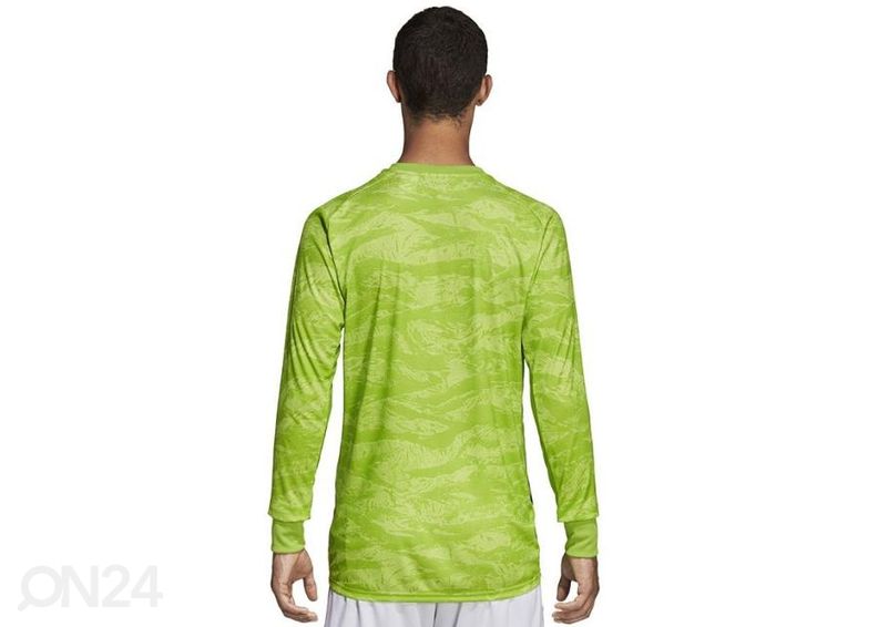 Мужская вратарская рубашка adidas Adipro 19 M DP3137 увеличить