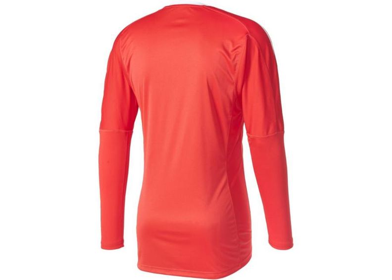 Мужская вратарская рубашка adidas Revigo 17 M AZ5394 увеличить
