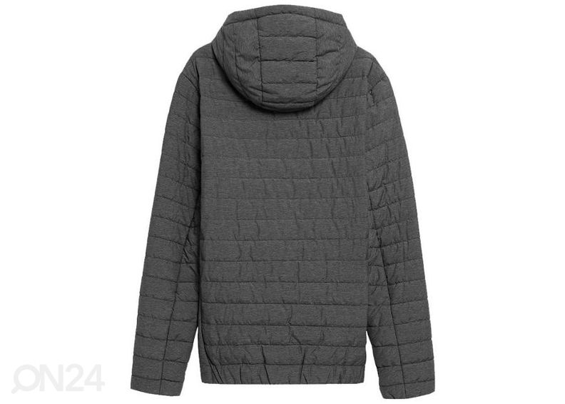 Мужская зимняя куртка 4F увеличить