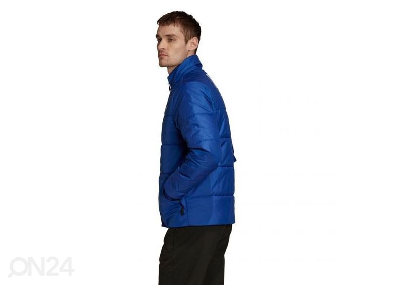 Мужская зимняя куртка Adidas BSC увеличить