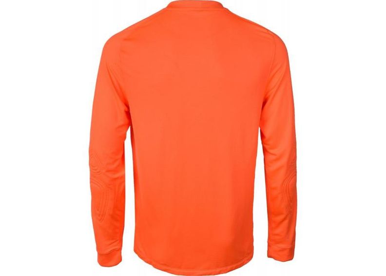 мужская Мужская вратарская рубашка Nike PARK GOALIE II LS M 588418-803 увеличить