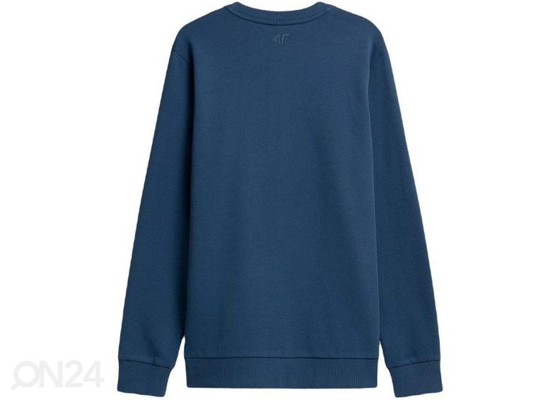 Мужская толстовка 4F увеличить