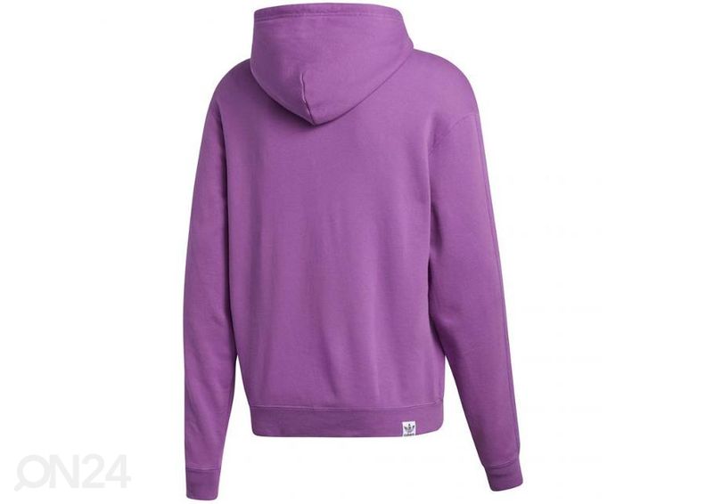 Мужская толстовка Adidas Pride Flag Fill Hoody M GK8524 увеличить