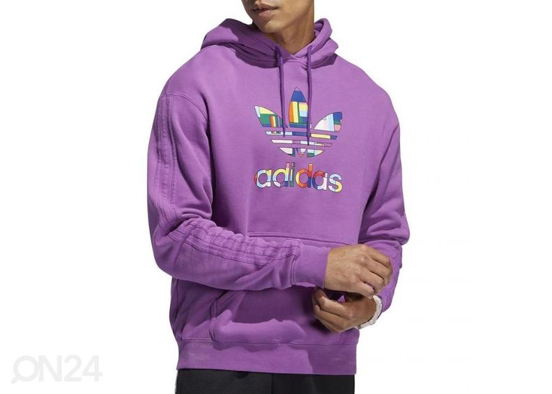 Мужская толстовка Adidas Pride Flag Fill Hoody M GK8524 увеличить
