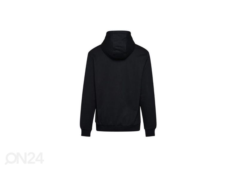 Мужская толстовка Diadora 5Palle WNT Hoodie M 502-176617-01-80013 увеличить