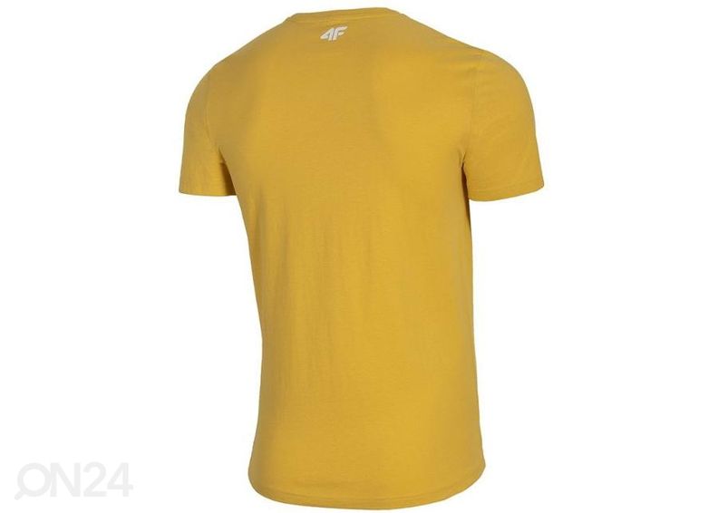 Мужская футболка для тренировок 4F увеличить