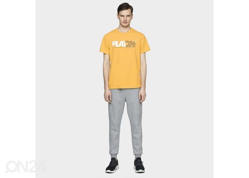 Мужская футболка для тренировок 4F увеличить