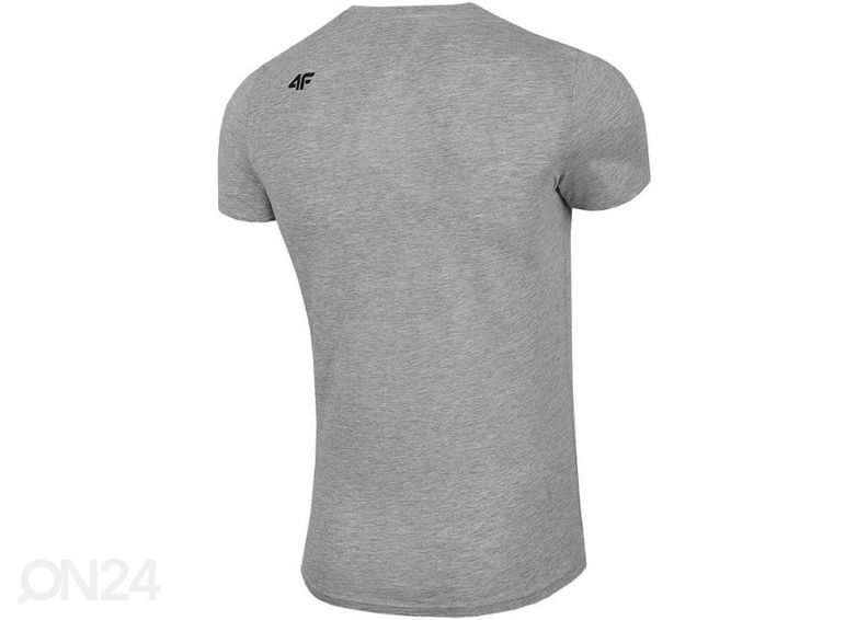 Мужская футболка 4F увеличить