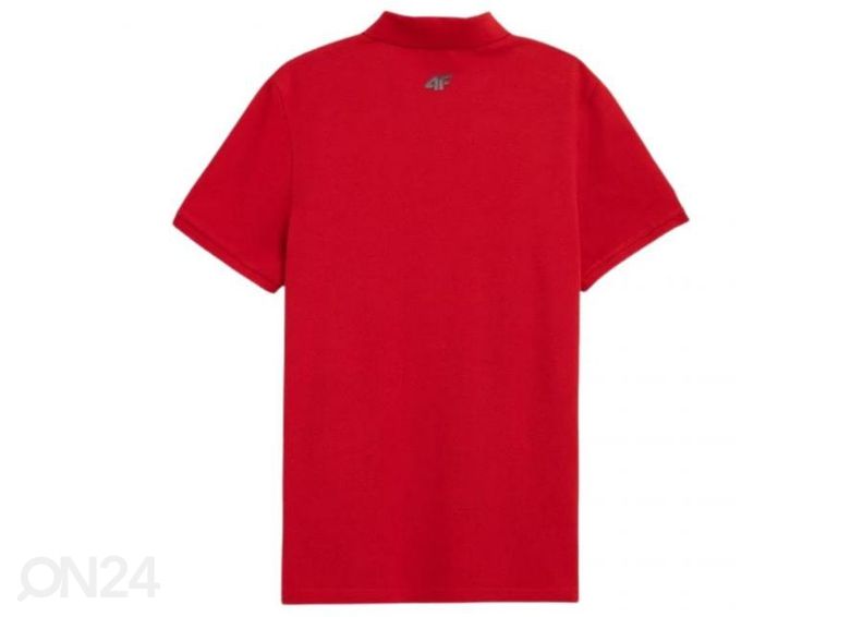 Мужская футболка 4F увеличить