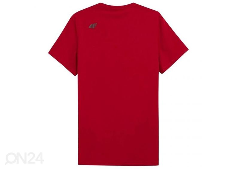 Мужская футболка 4F увеличить