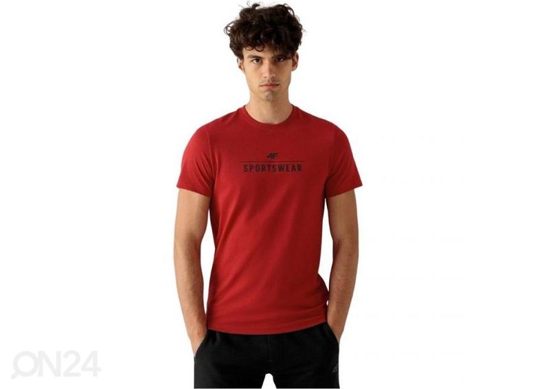 Мужская футболка 4F увеличить