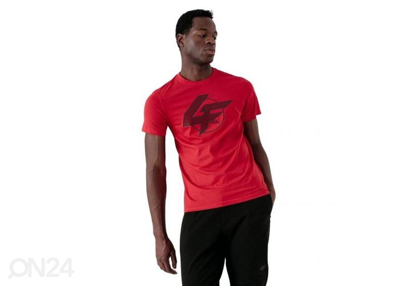 Мужская футболка 4F увеличить