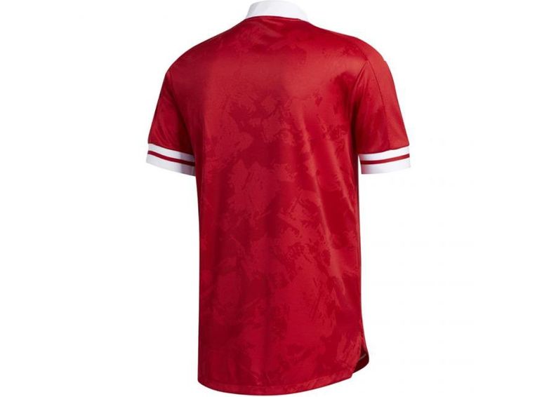 Мужская футболка adidas Condivo 20 Jersey M FT7257 увеличить