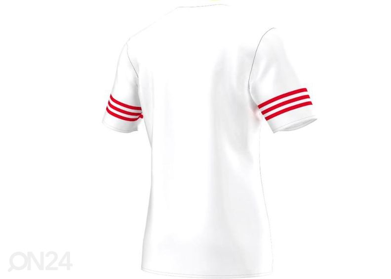 Мужская футболка adidas Entrada 14 F50490 увеличить