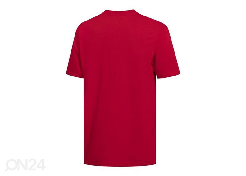 Мужская футболка Adidas Essentials увеличить