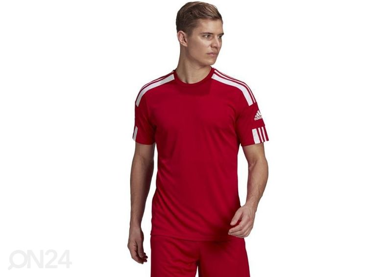 Мужская футболка Adidas Squadra 21 JSY увеличить