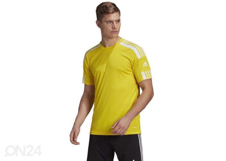 Мужская футболка Adidas Squadra 21 JSY увеличить