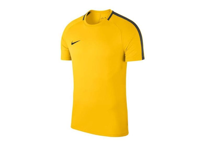 Мужская футболка Nike Dry Academy 18 Top M 893693-719 увеличить