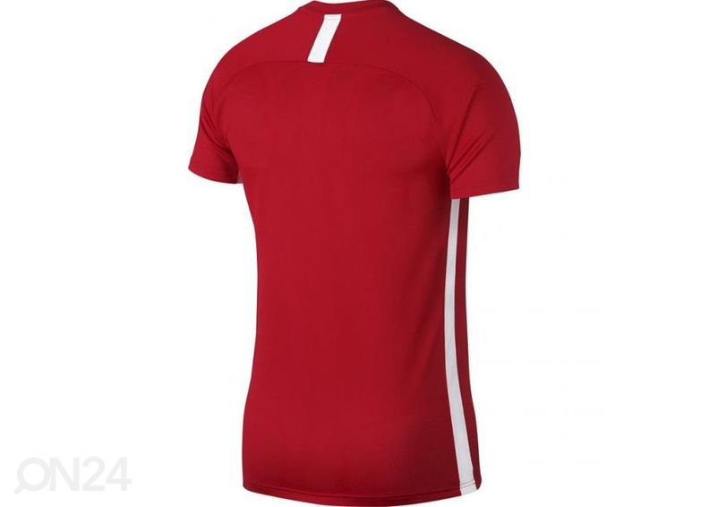 Мужская футболка Nike Dry Academy SS M AJ9996-657 увеличить