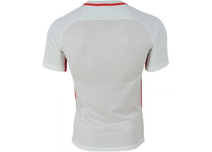 Мужская футболка Nike Dry Revolution IV JSY SS M 833017-102 увеличить