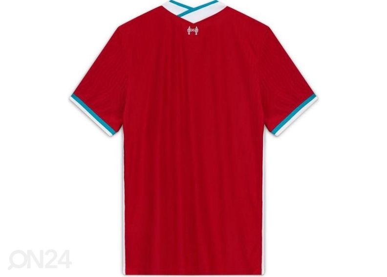 Мужская футболка Nike Liverpool FC Vapor Home увеличить