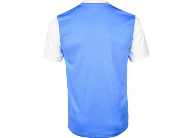 Мужская футболка Nike VICTORY II M 588408-412 увеличить