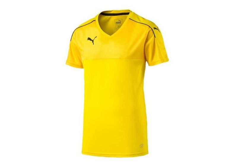 Мужская футболка Puma Accuracy M 702214-07 увеличить