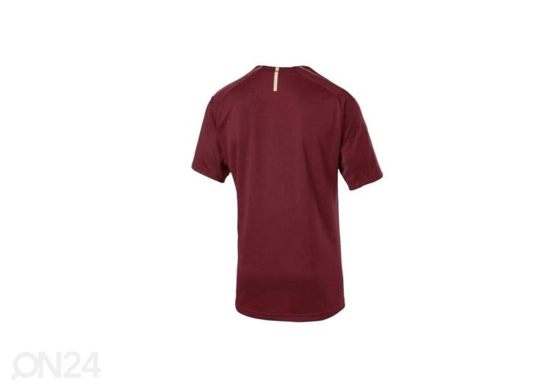 Мужская футболка Puma Arsenal FC Training Tee M 753265 03 увеличить