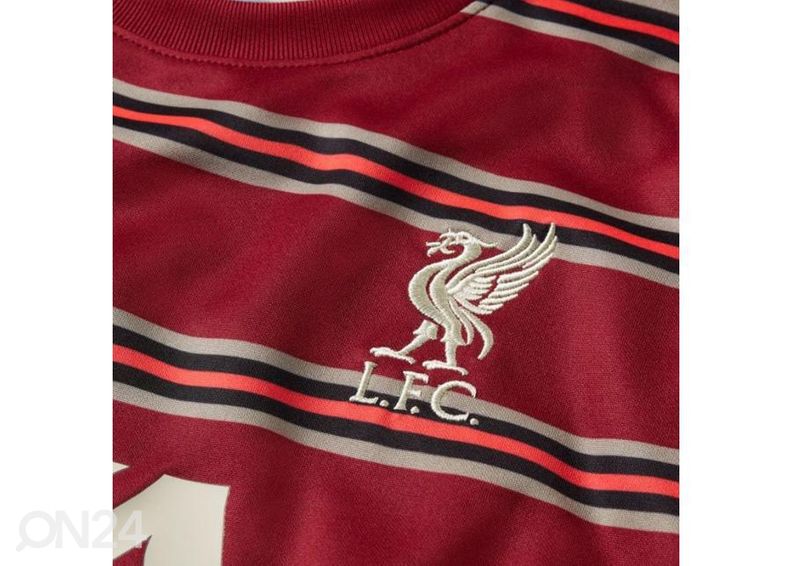 Мужская футбольная рубашка Nike Liverpool FC Pre-Match увеличить