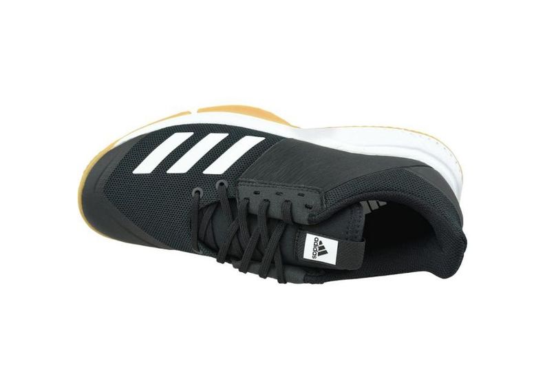 Мужские волейбольные бутсы adidas Crazyflight Team M D97701 увеличить