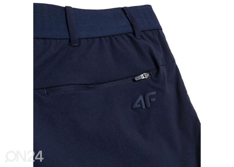 Мужские спортивные шорты 4F увеличить