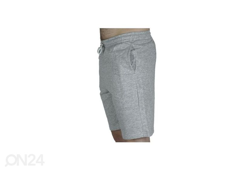 Мужские спортивные шорты Kappa Topen увеличить