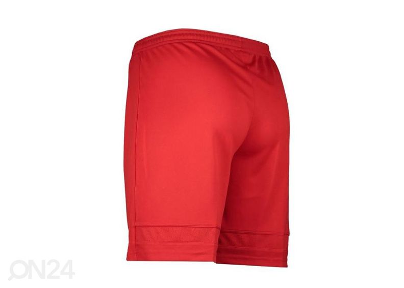 Мужские спортивные шорты Nike Dry Academy 21 увеличить