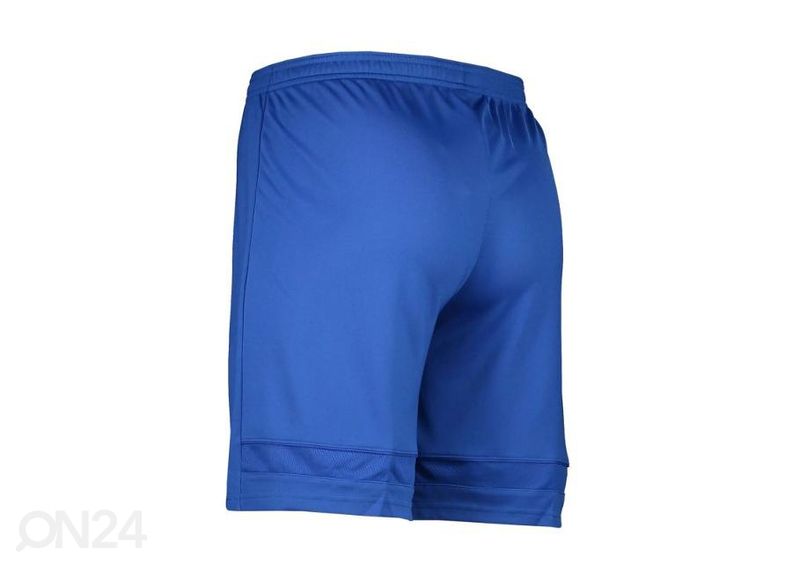 Мужские спортивные шорты Nike Dry Academy 21 увеличить