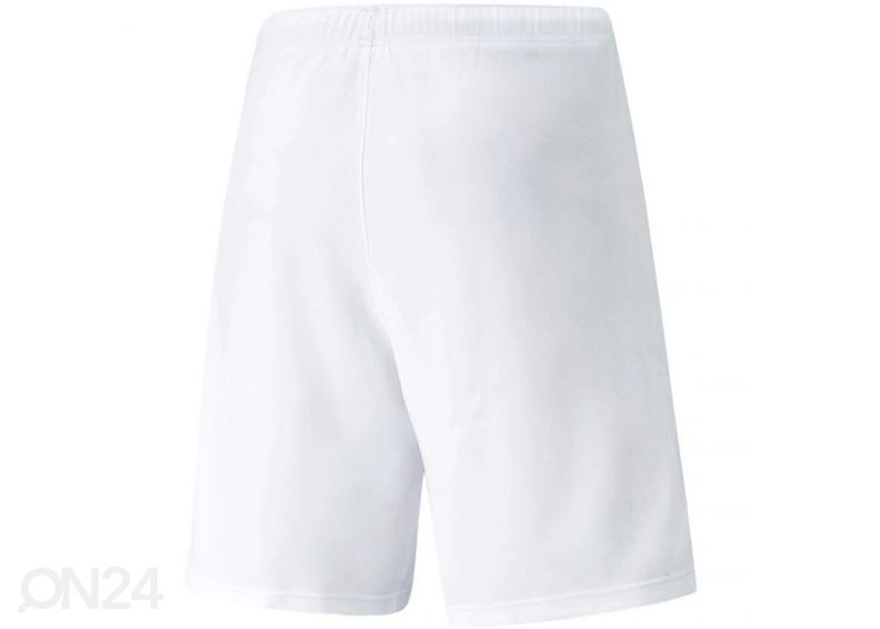 Мужские спортивные шорты Puma teamRISE Short увеличить