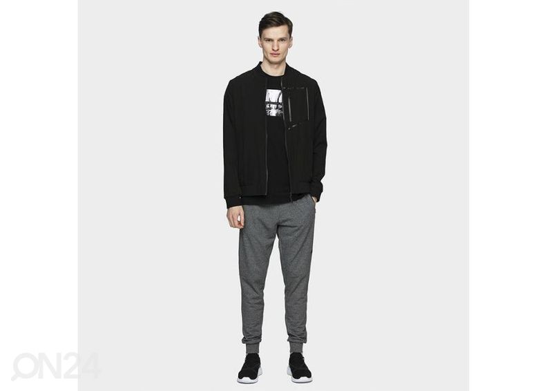 Мужские спортивные штаны 4F увеличить