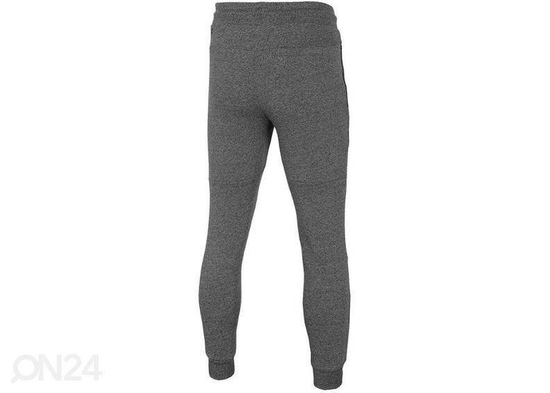 Мужские спортивные штаны 4F увеличить