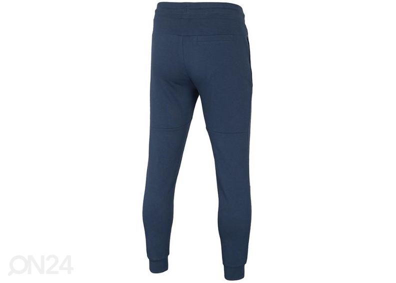 Мужские спортивные штаны 4F увеличить