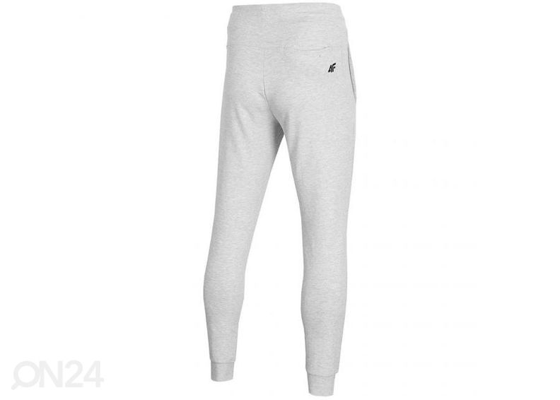 Мужские спортивные штаны 4F увеличить