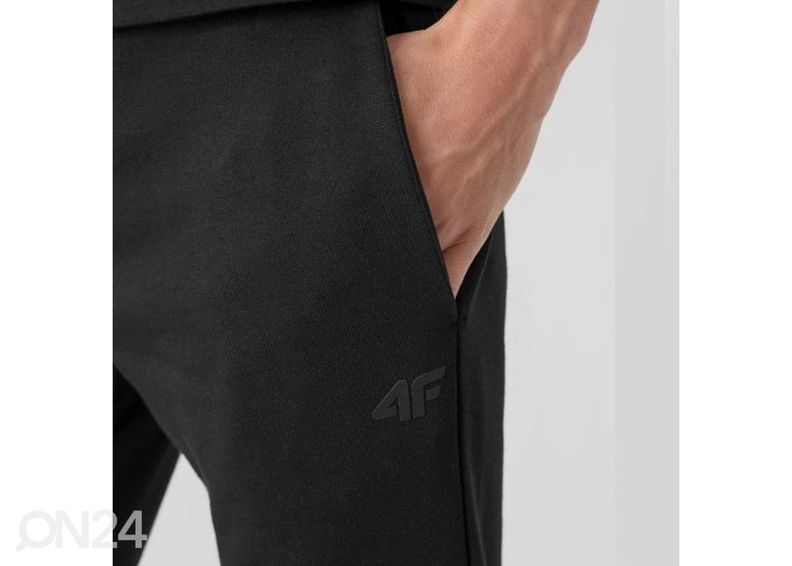 Мужские спортивные штаны 4F увеличить