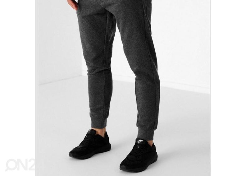 Мужские спортивные штаны 4F увеличить