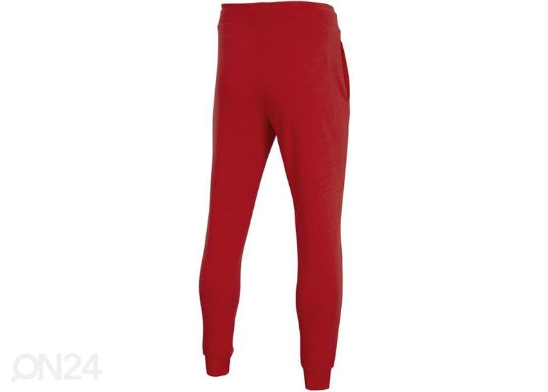 Мужские спортивные штаны 4F увеличить