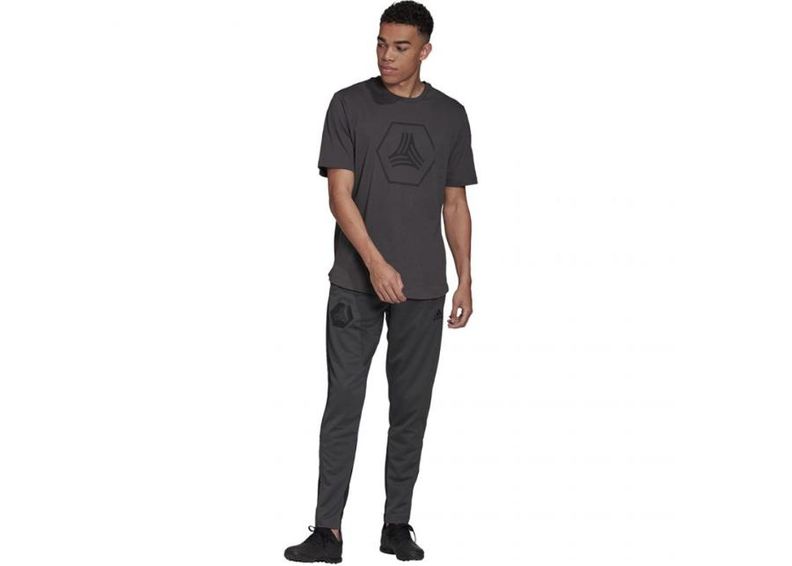 Мужские спортивные штаны adidas Tan Training Pants M FJ6329 увеличить