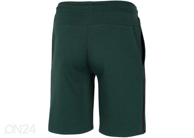 Мужские шорты 4F увеличить