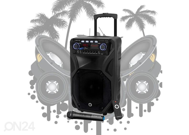 Музыкальный центр Manta SPK5021PRO увеличить