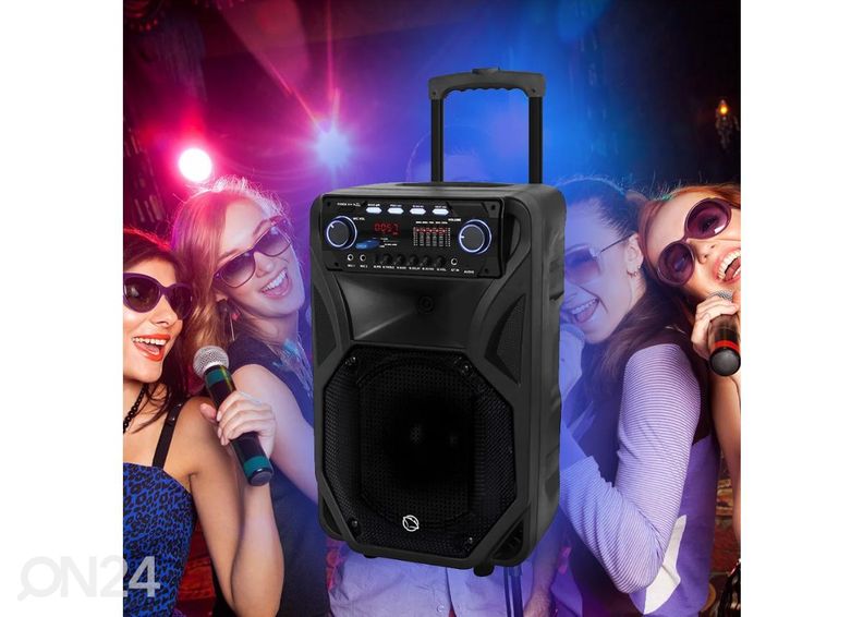 Музыкальный центр Manta SPK5021PRO увеличить