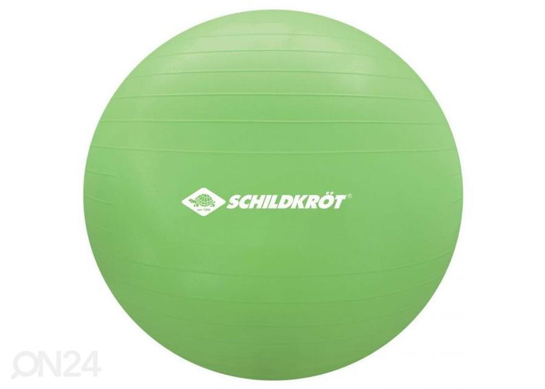 Мяч гимнастический Schildkrot, 55 см увеличить