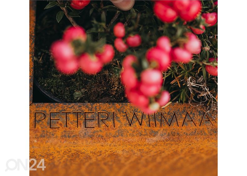 Набор цветочных горшков из стали Cor-Ten Fat Ballerina, 3 шт. увеличить